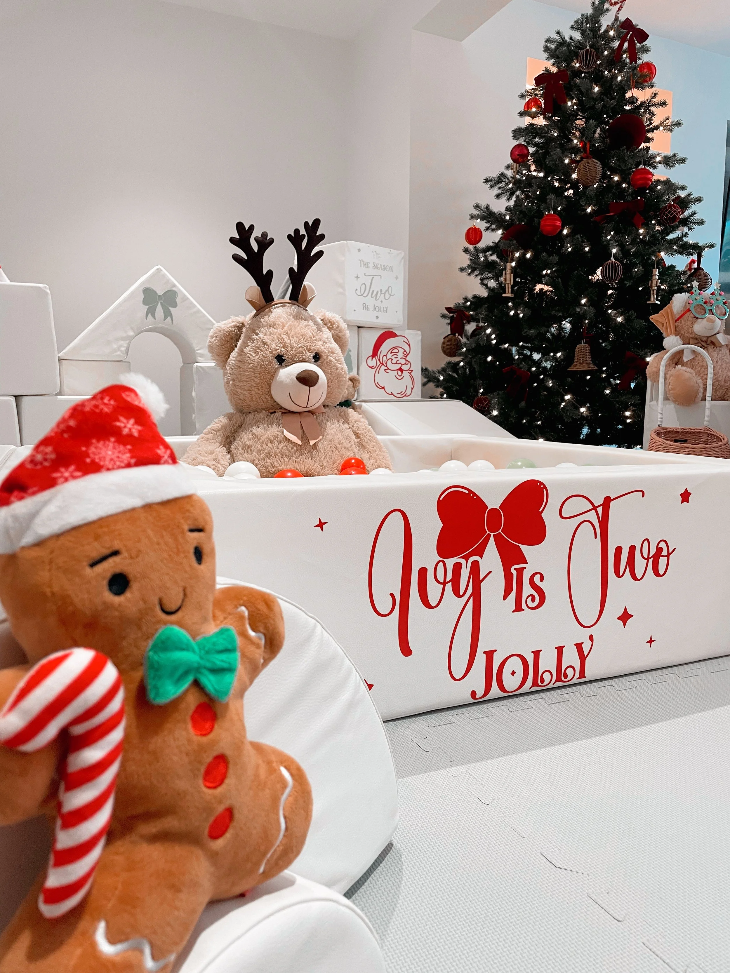 Colchester Christmas Hire