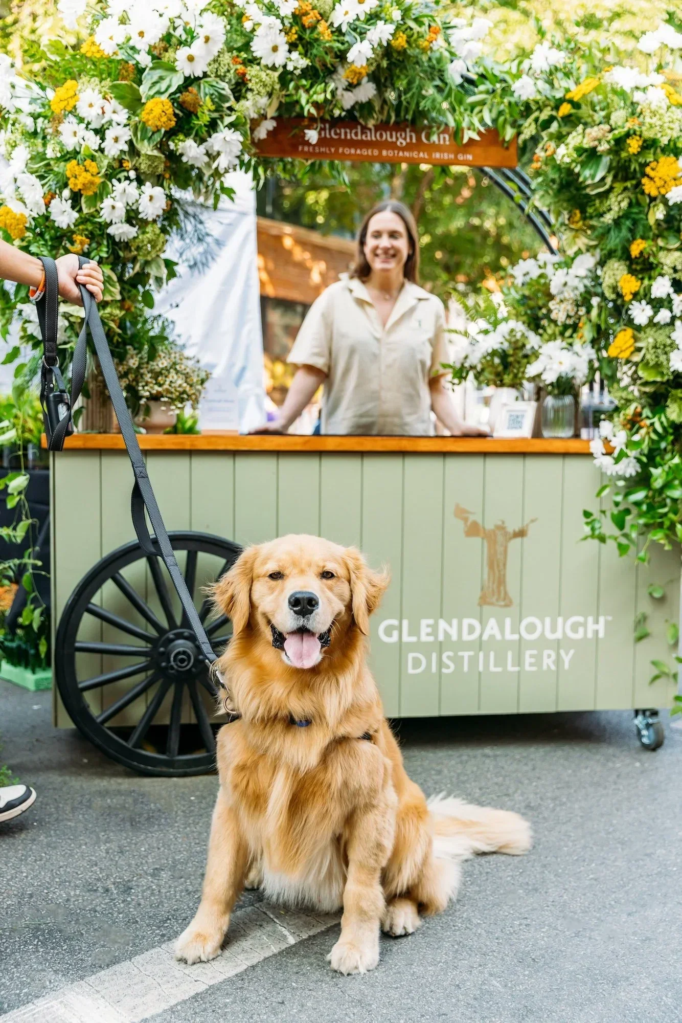 Glendalough%2BSoG%2B2.webp