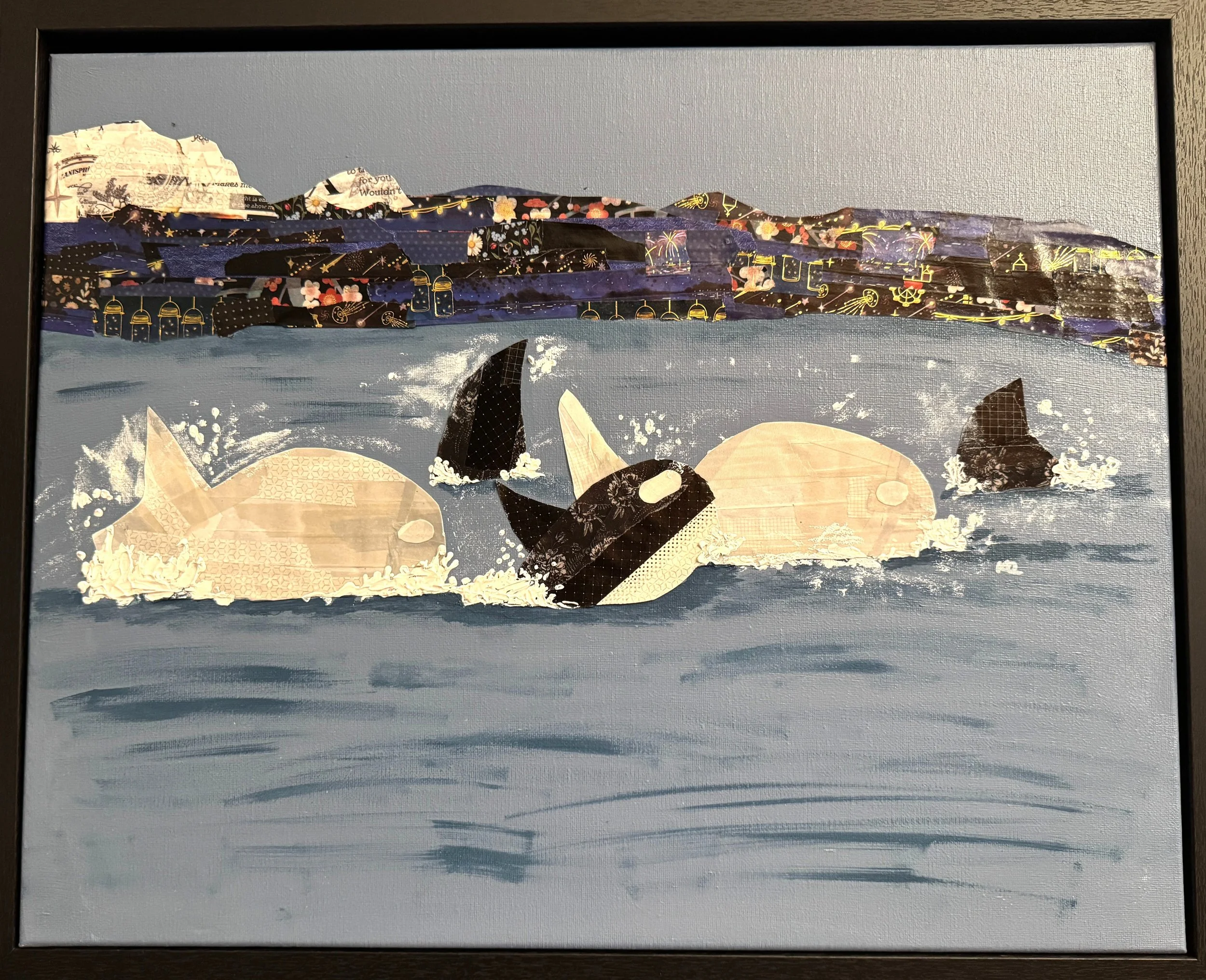 "Pod" -- two rare Albino orcas play off the island of Hokkaido, Japan 