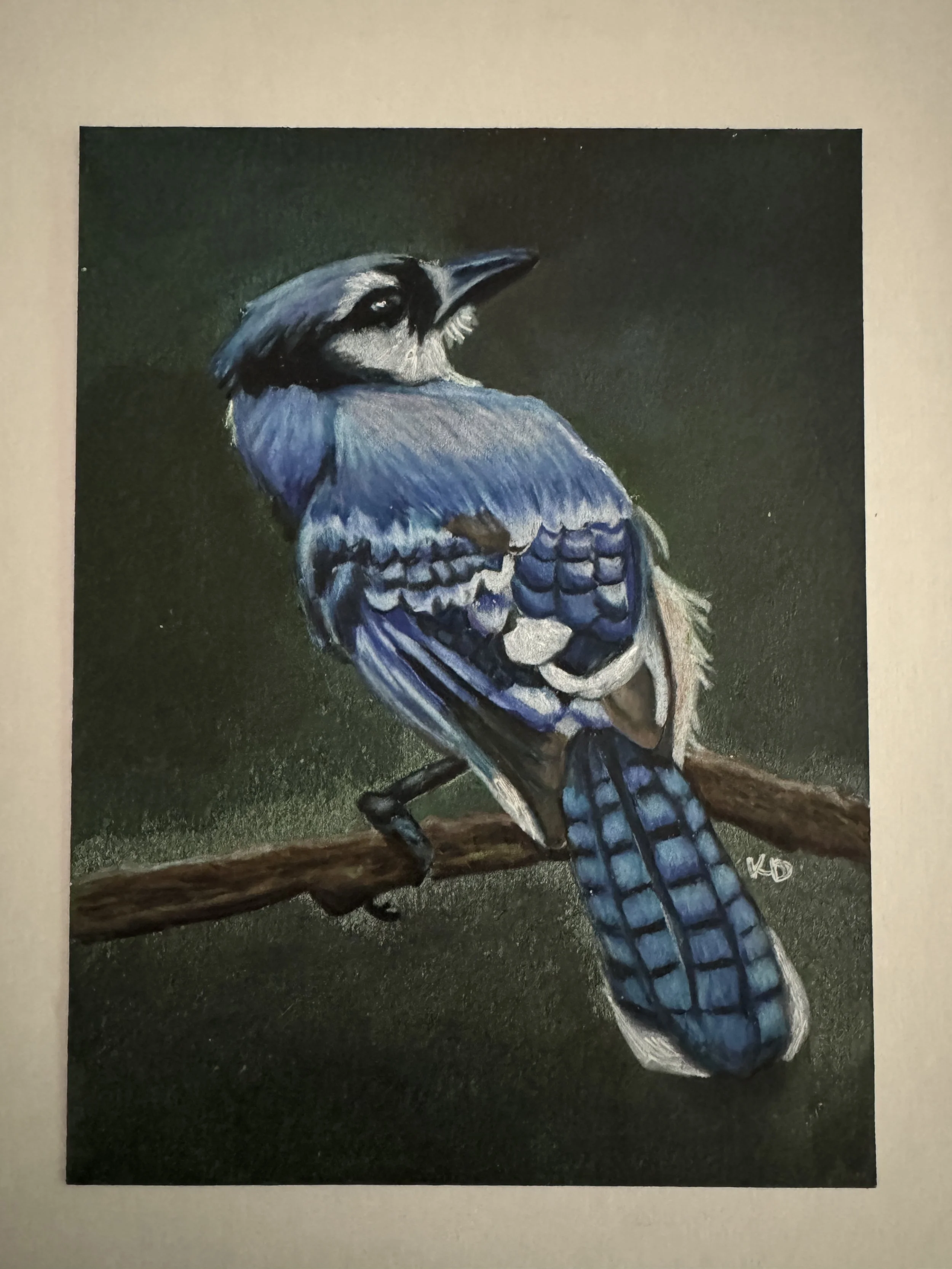 BlueJay