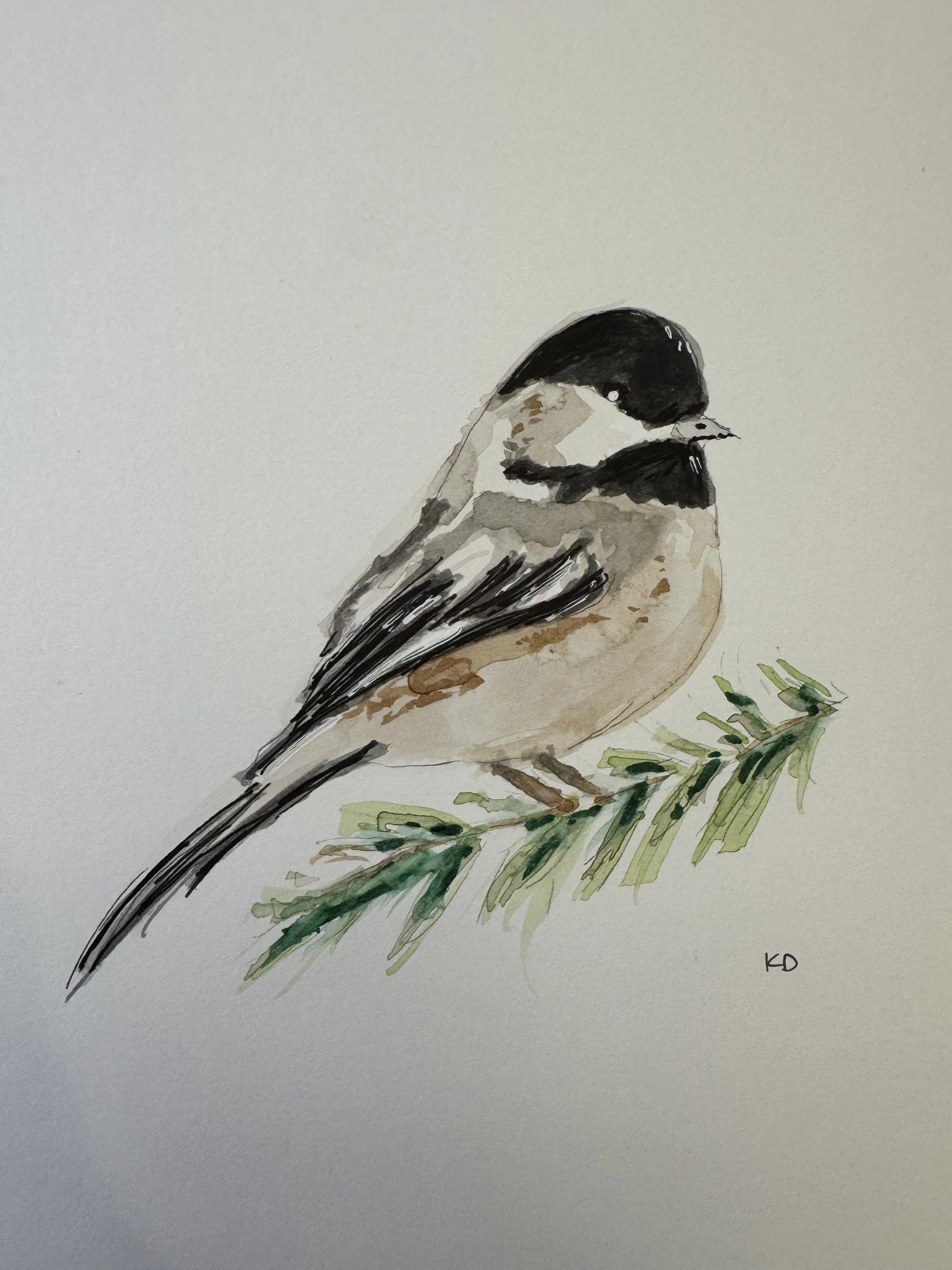 Chickadee.jpg