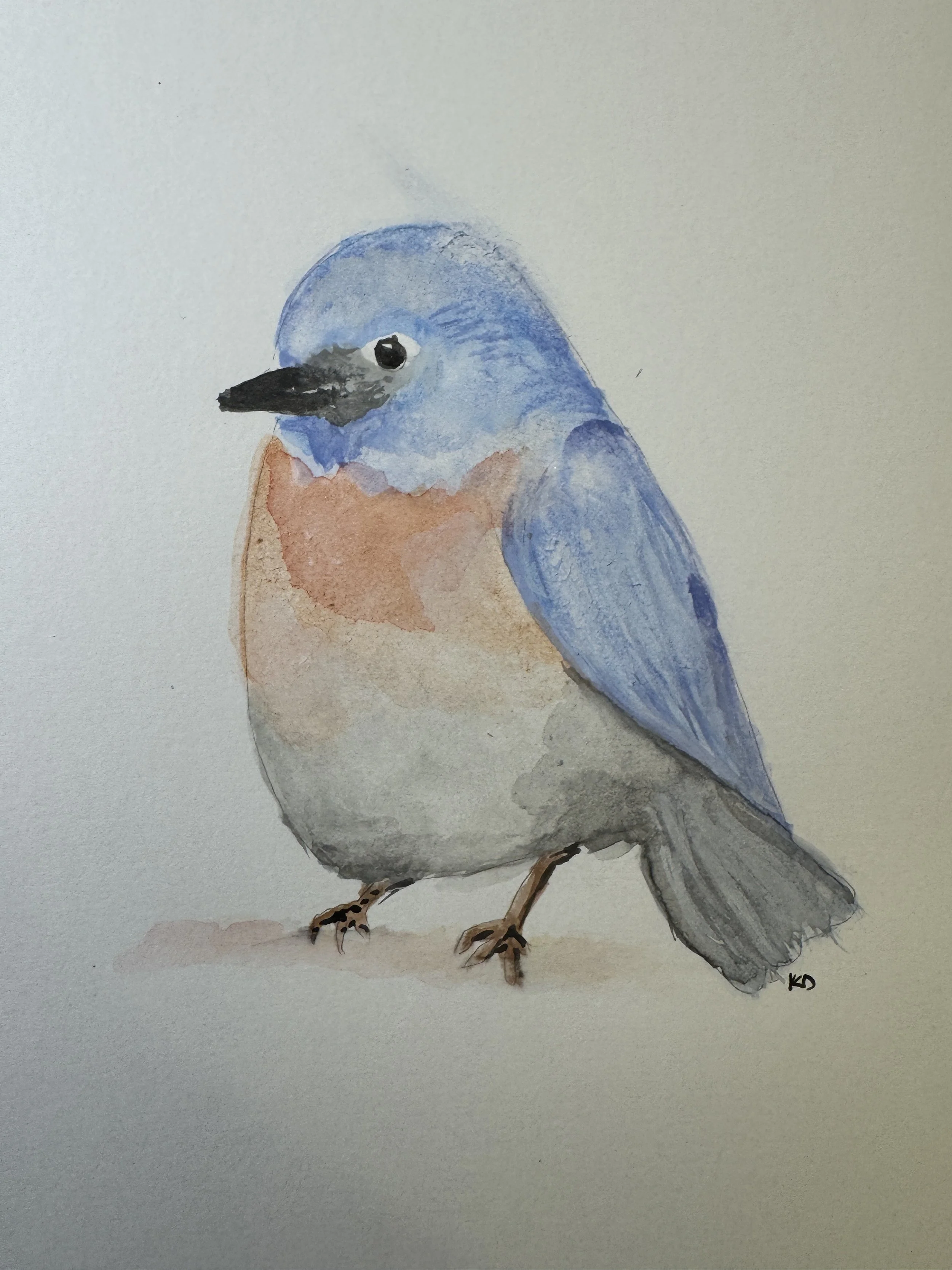Bluebird_Watercolor.jpg