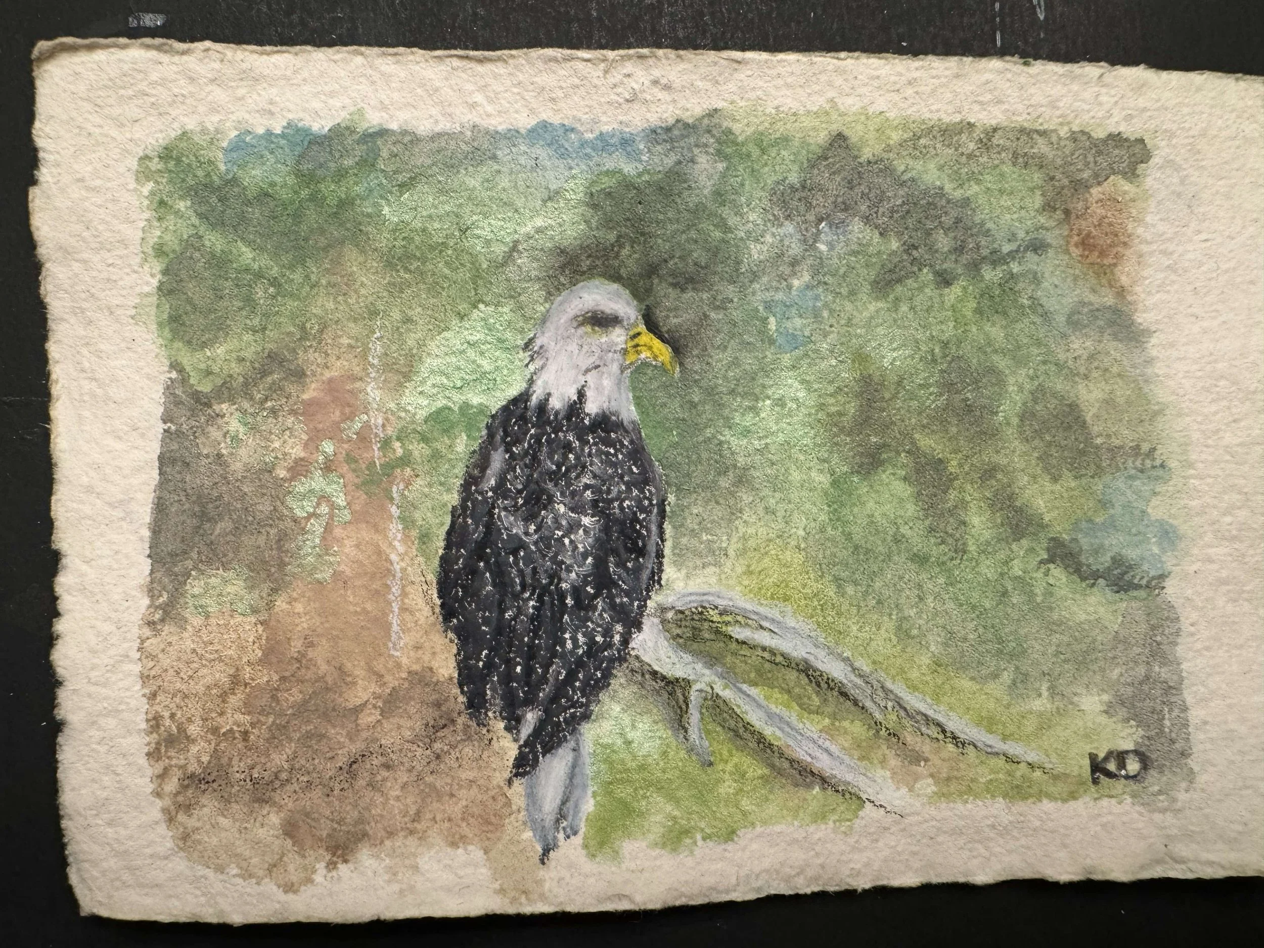 Eagle