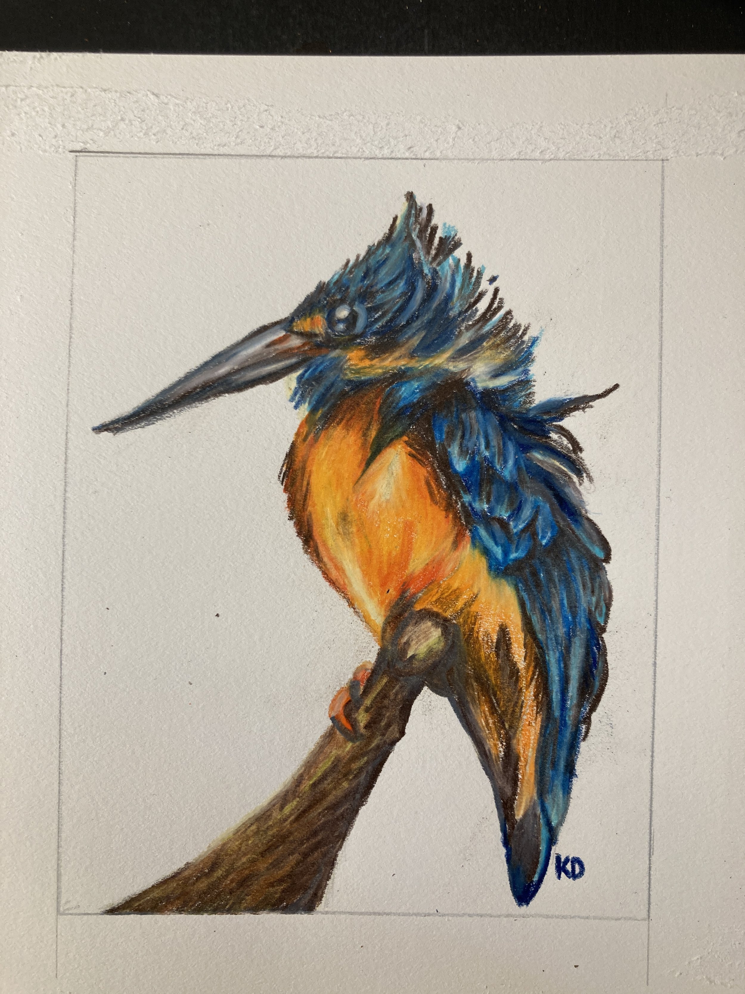 Kingfisher