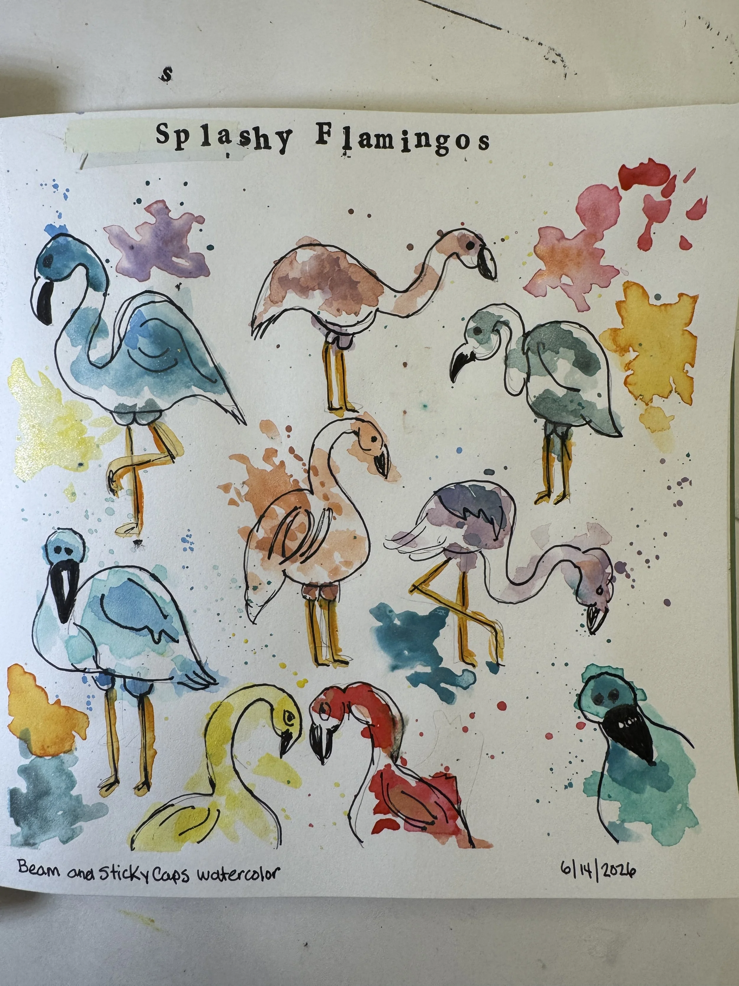 Flamingoes