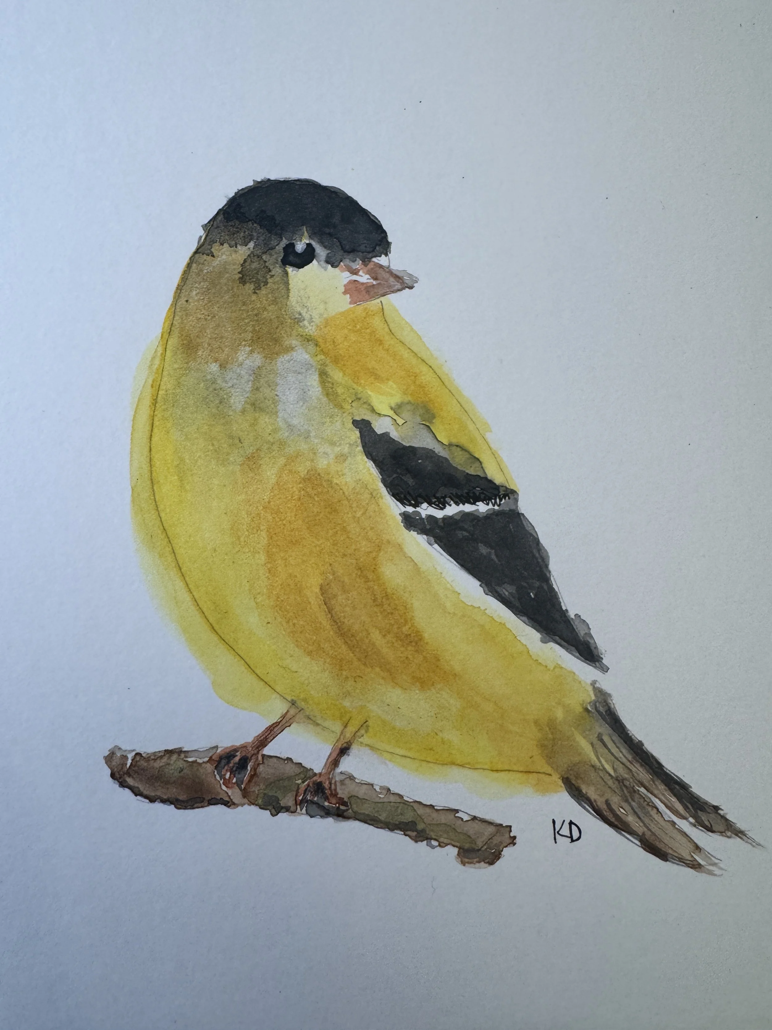 Goldfinch_Watercolor.jpg