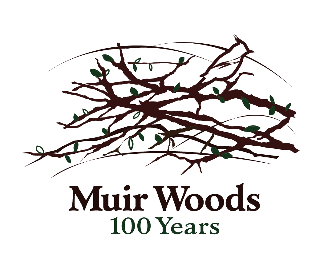 Screen Shot 2020-11-18 at 11.52.09 AM.png