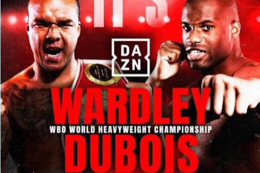 Wardley V Dubois Fight 