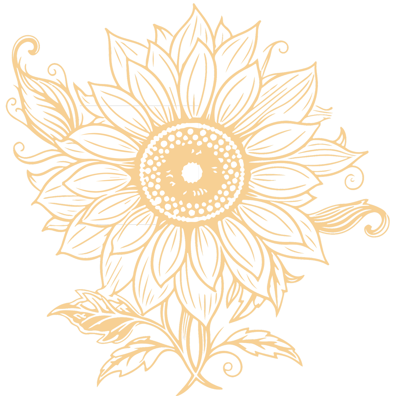 Middle America Creative