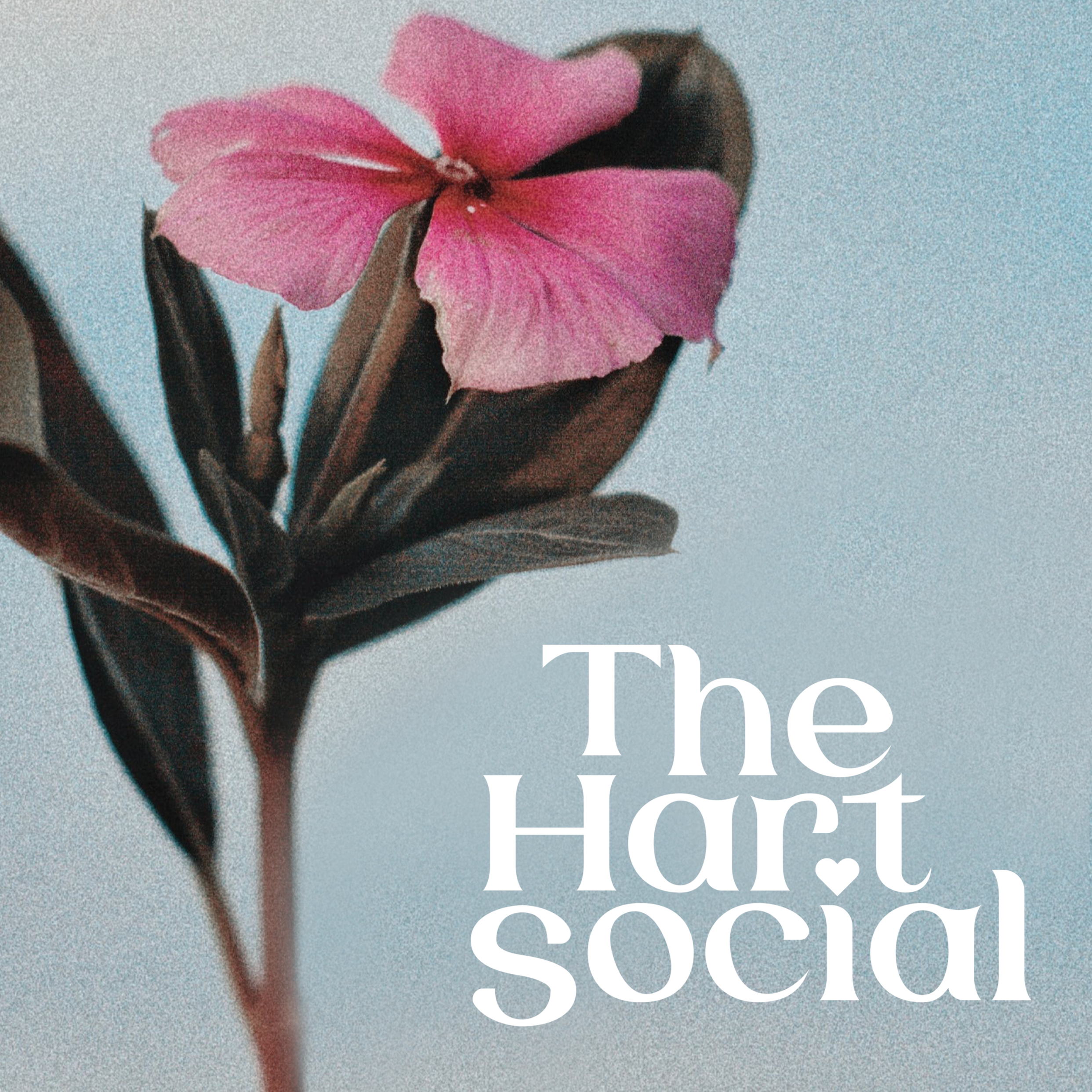 The Hart Social (Brand Refresh)