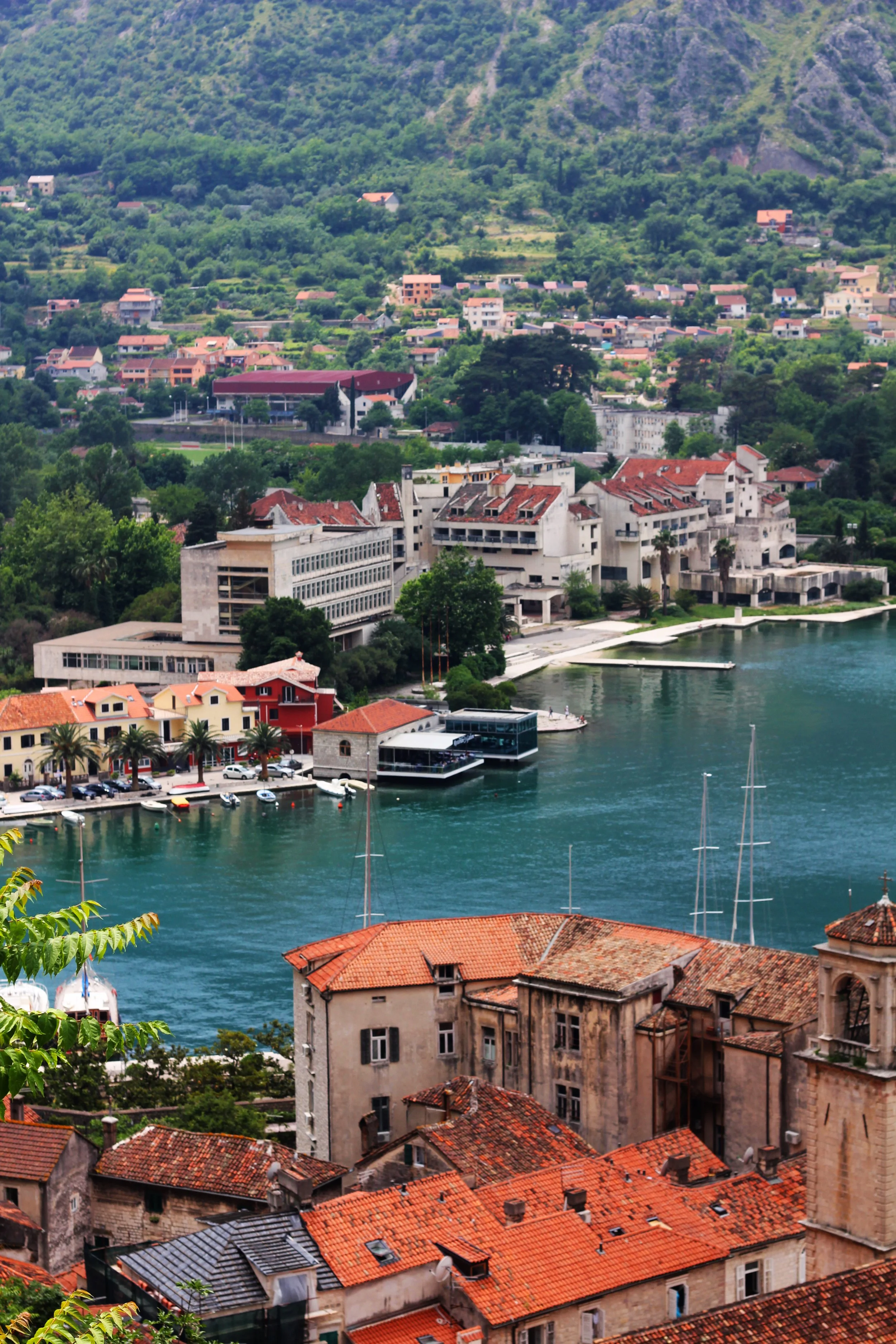 montenegro.jpg
