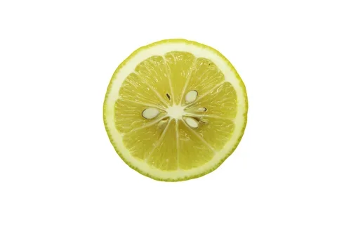 Lemons_Riley+Arthur_2023_1+(3).webp
