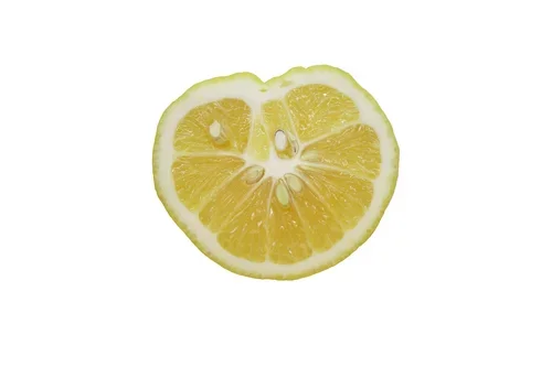 Lemons_Riley+Arthur_2023_1+(45).webp