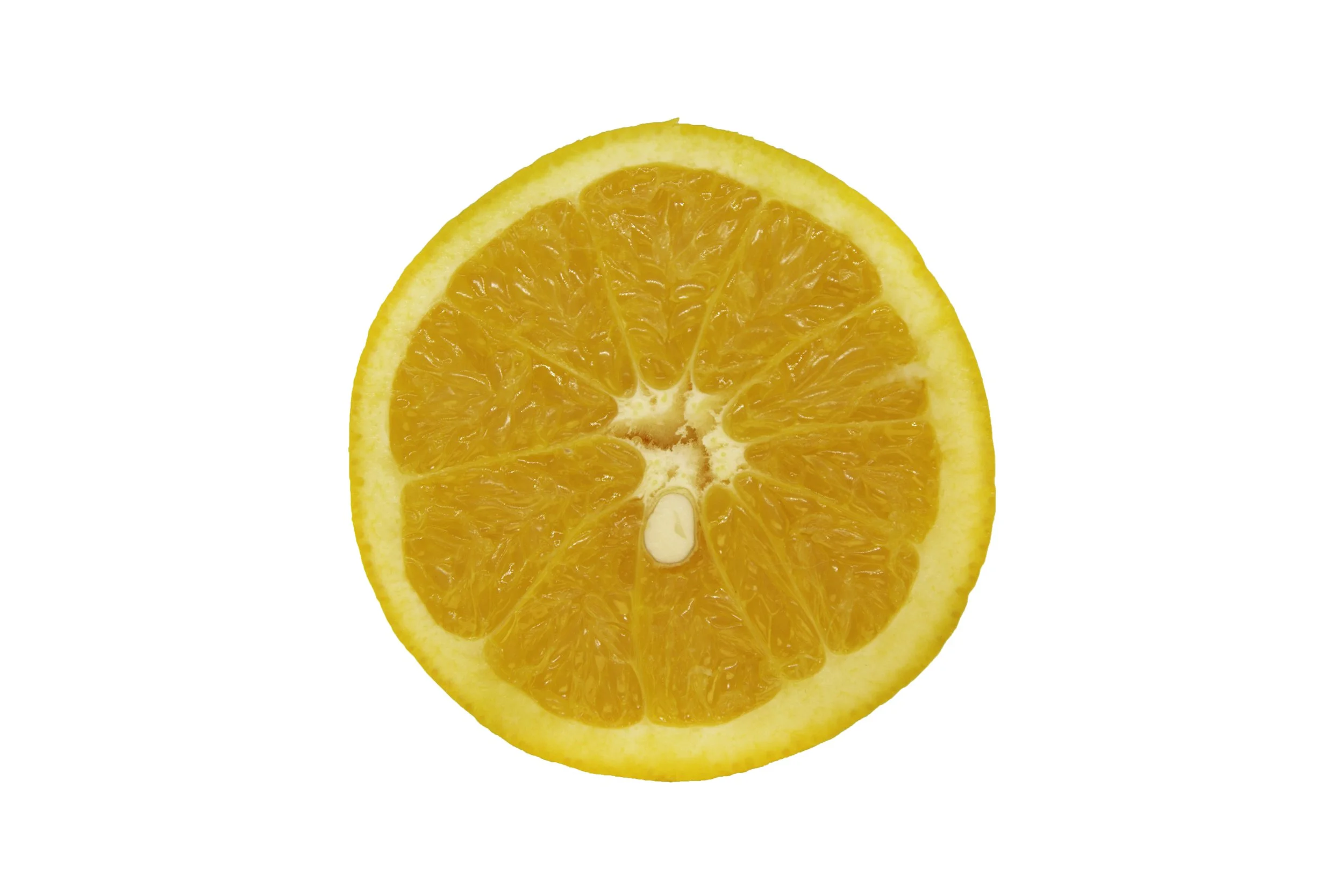 Oranges_Riley Arthur_2023_1 (43).jpg