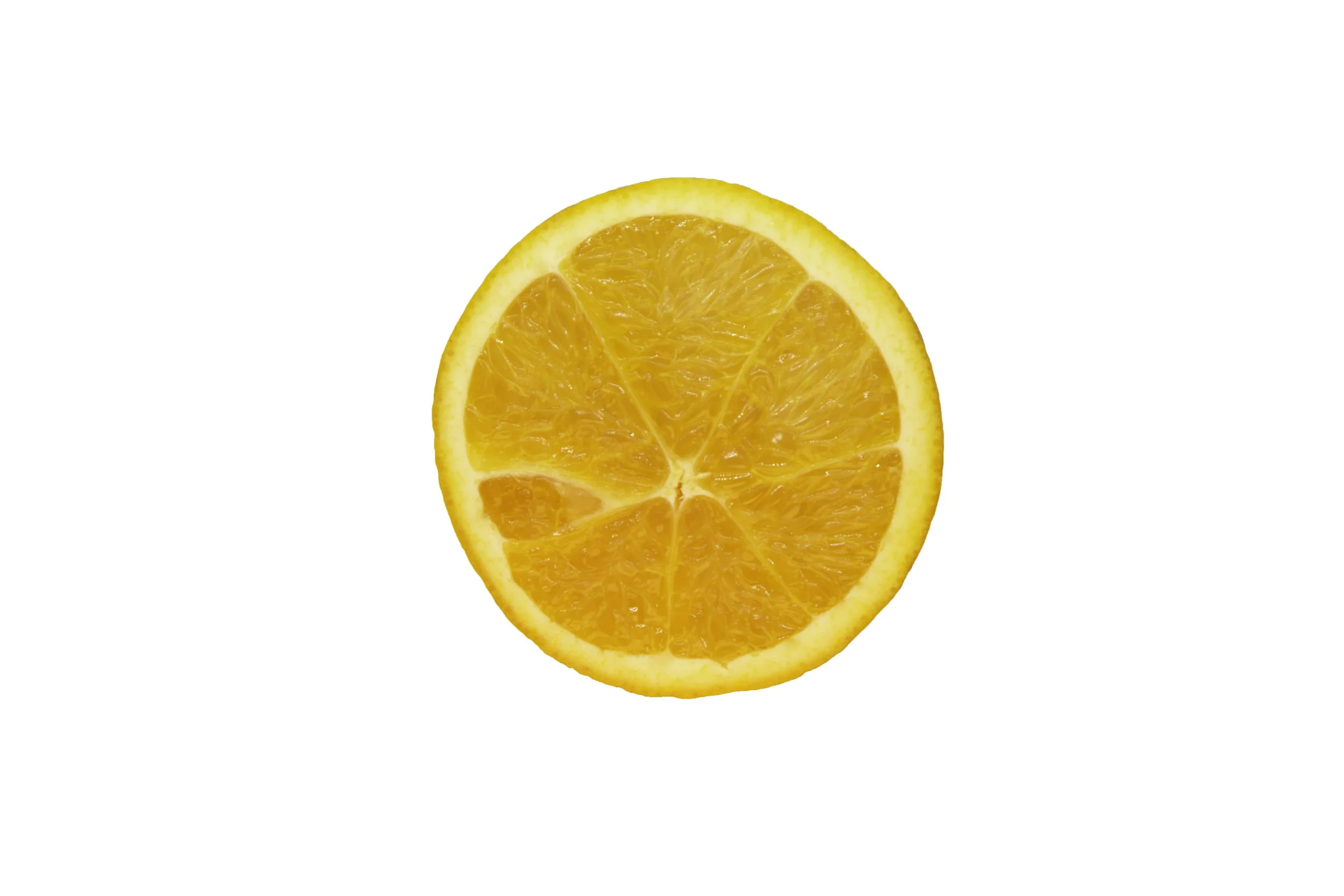 Oranges_Riley Arthur_2023_1 (38).jpg