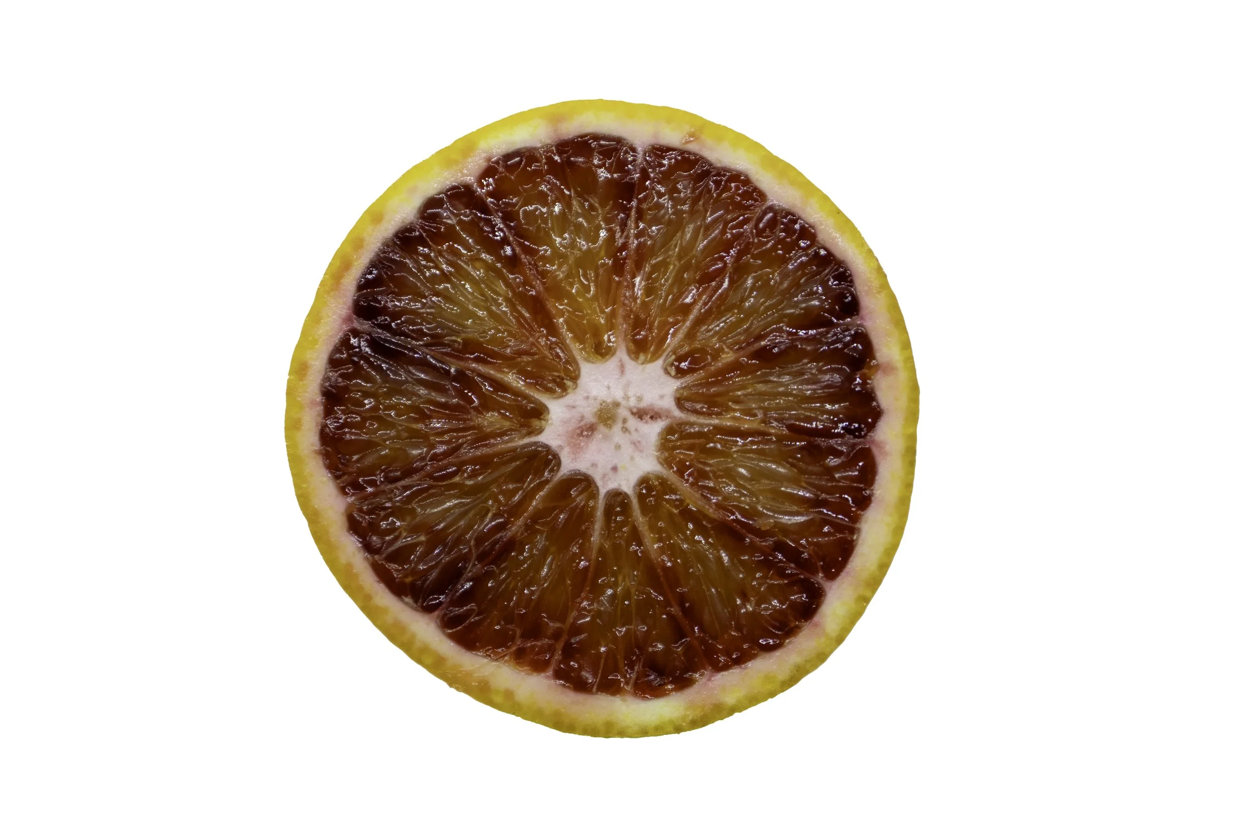 IMG_4304-Edit copy.jpg