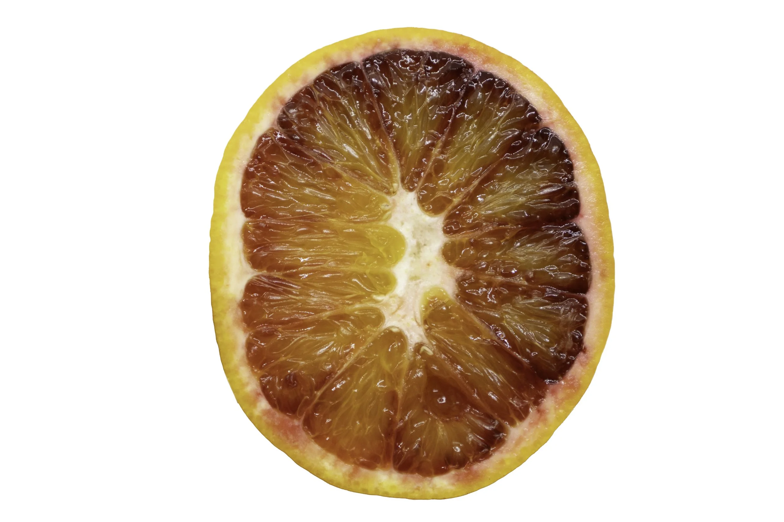 IMG_4604-Edit copy.jpg