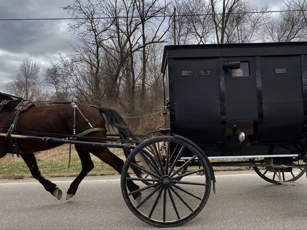 Amish contact.jpg