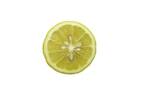 Lemons_Riley+Arthur_2023_1+(4).webp