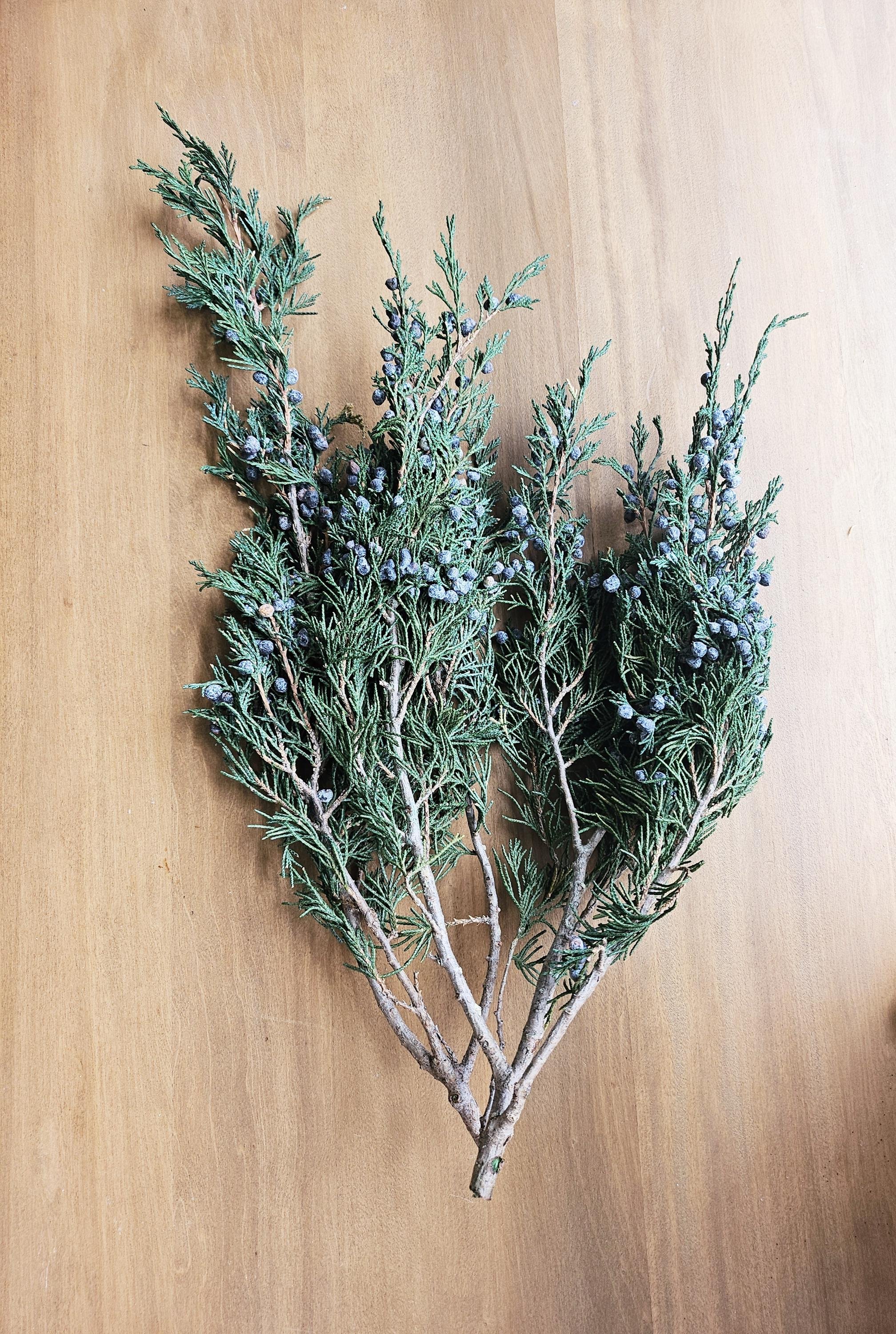 https://i.etsystatic.com/8429339/r/il/9d2d5a/6170903120/il_fullxfull.6170903120_8gen.jpg