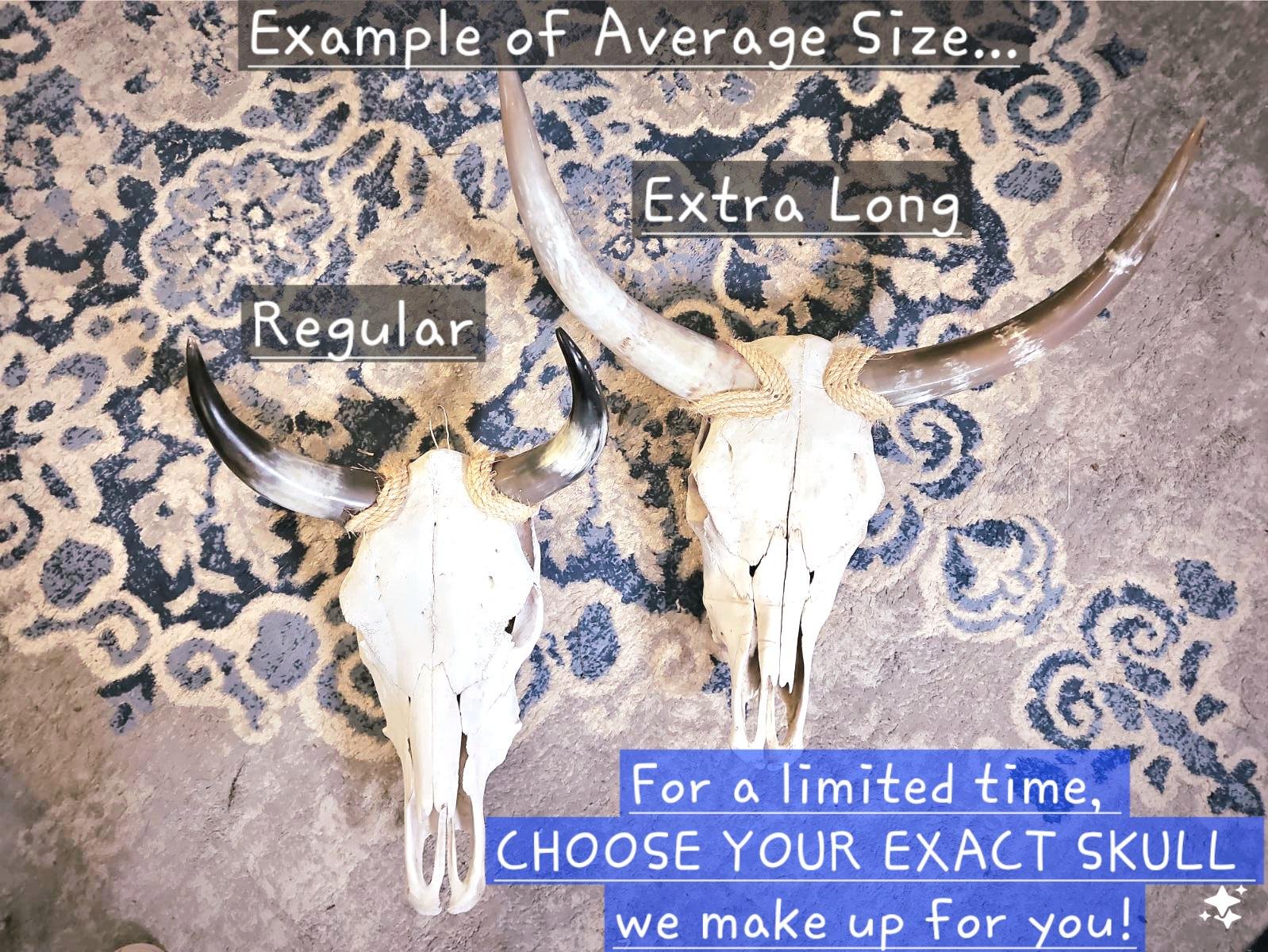 https://i.etsystatic.com/8429339/r/il/9c0ceb/6234225005/il_fullxfull.6234225005_rjmb.jpg