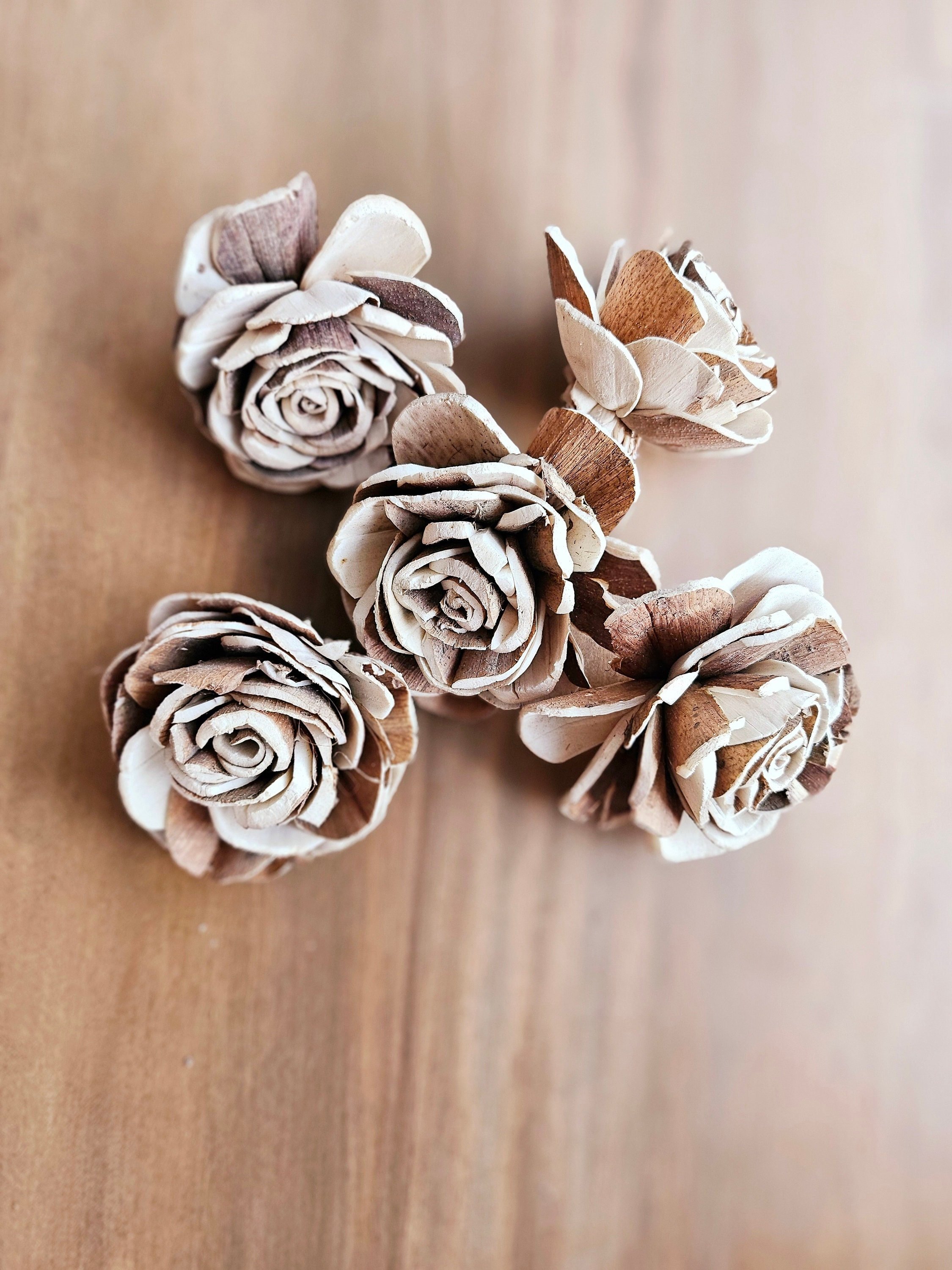 https://i.etsystatic.com/8429339/r/il/4de1f3/6139103274/il_fullxfull.6139103274_cqce.jpg