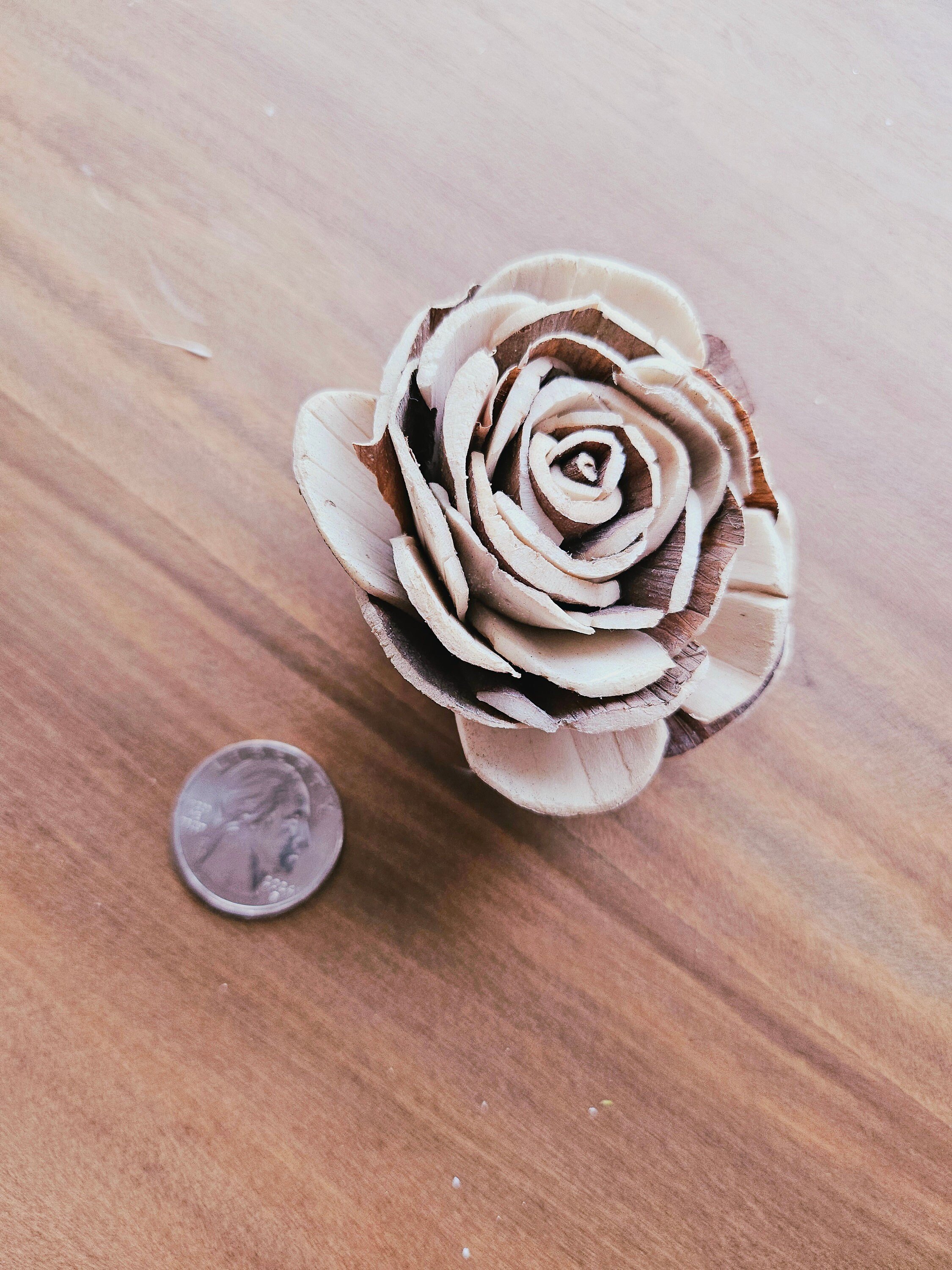 https://i.etsystatic.com/8429339/r/il/9f0eda/6139079780/il_fullxfull.6139079780_b243.jpg
