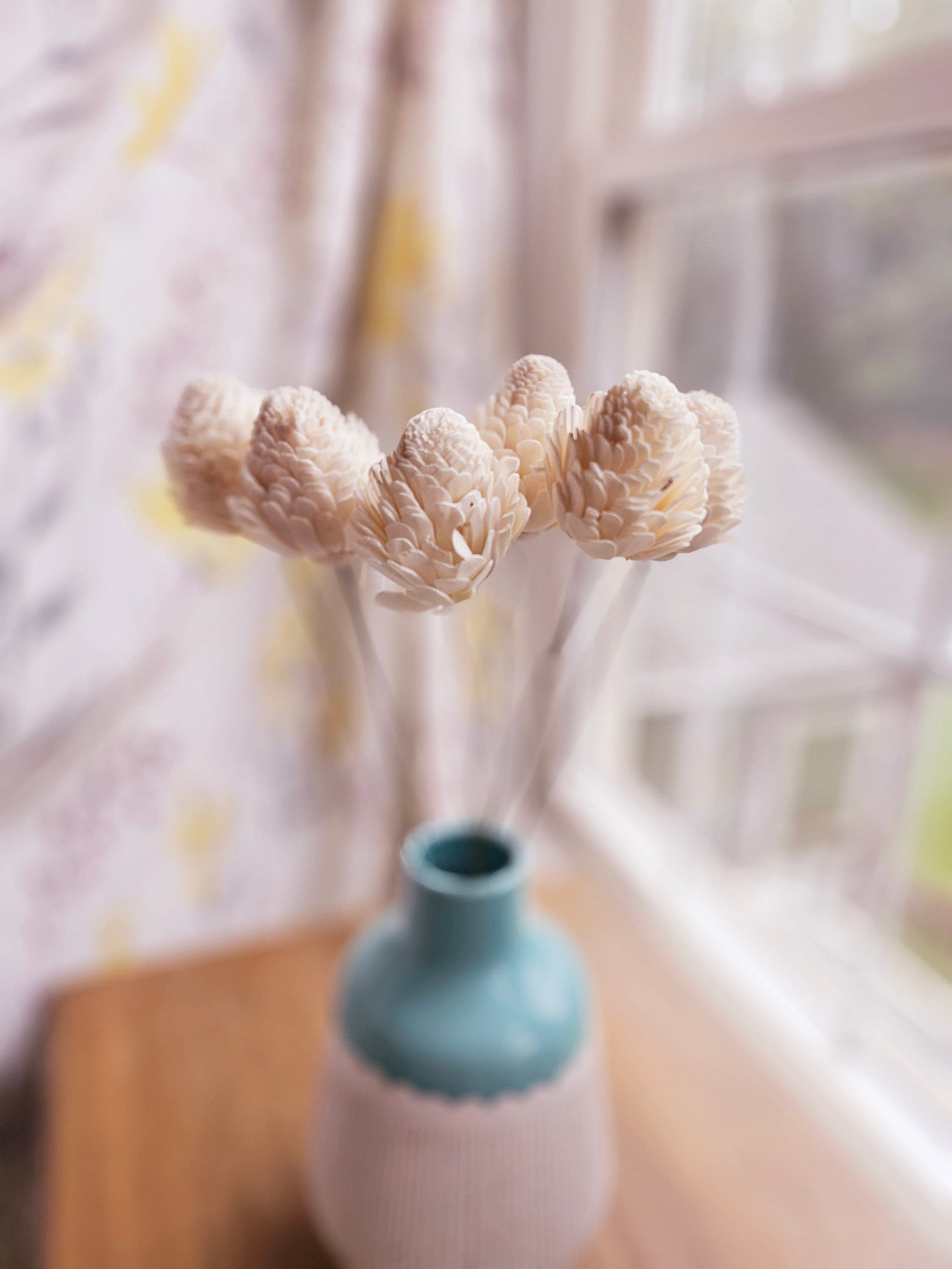 https://i.etsystatic.com/8429339/r/il/dfff0e/6139021220/il_fullxfull.6139021220_8kq2.jpg