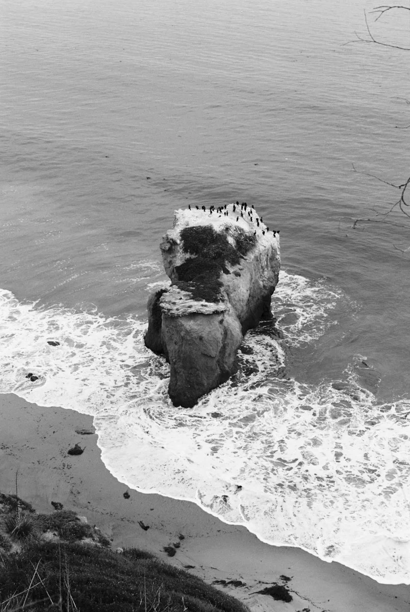 Kinsey_Golden_Test_00031 2.jpg