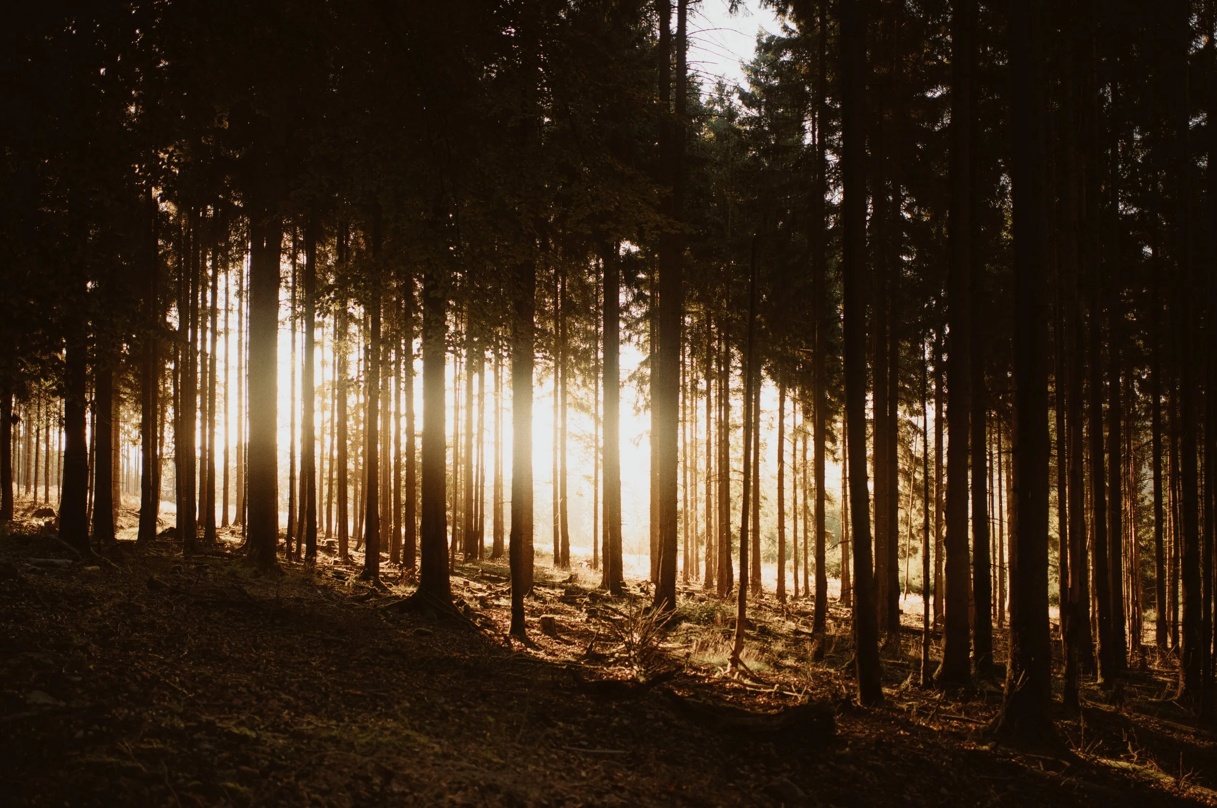 wandern-taunus-ads-04.jpg