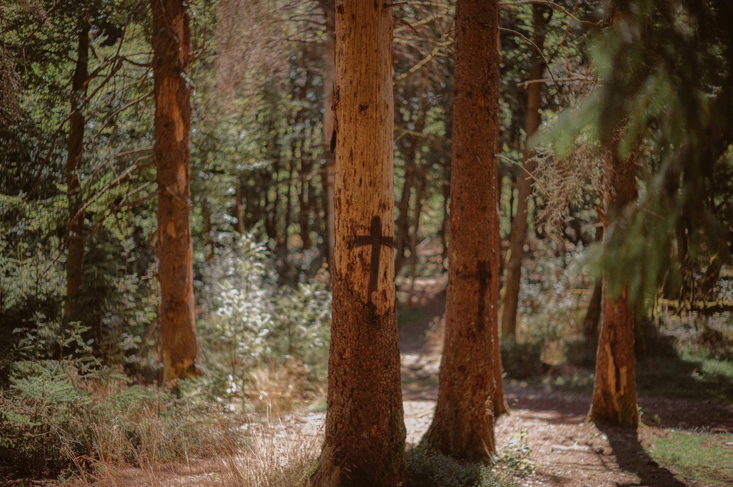 wandern-taunus-ads-18.jpg