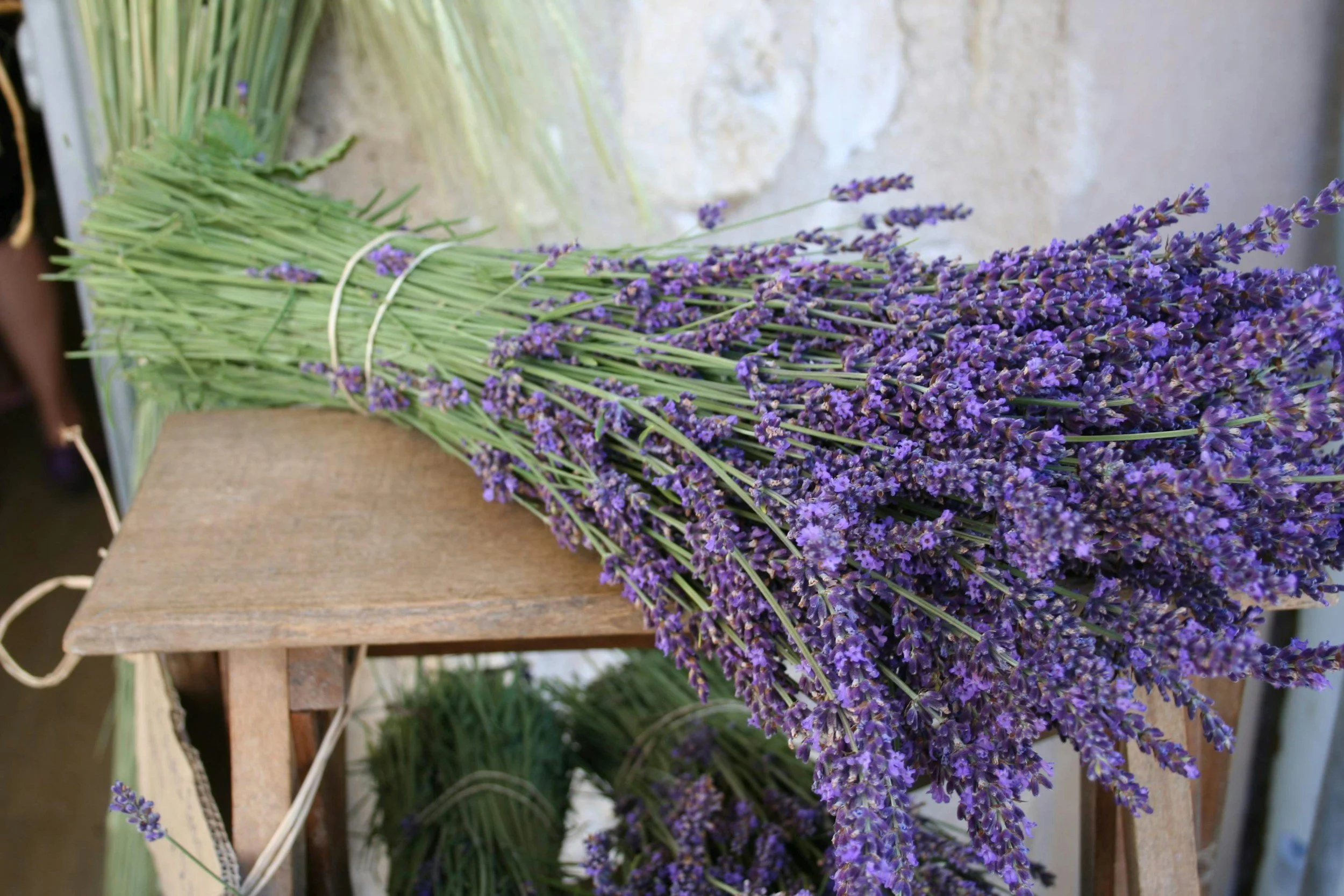 lavender