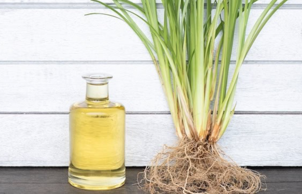 vetiver.png
