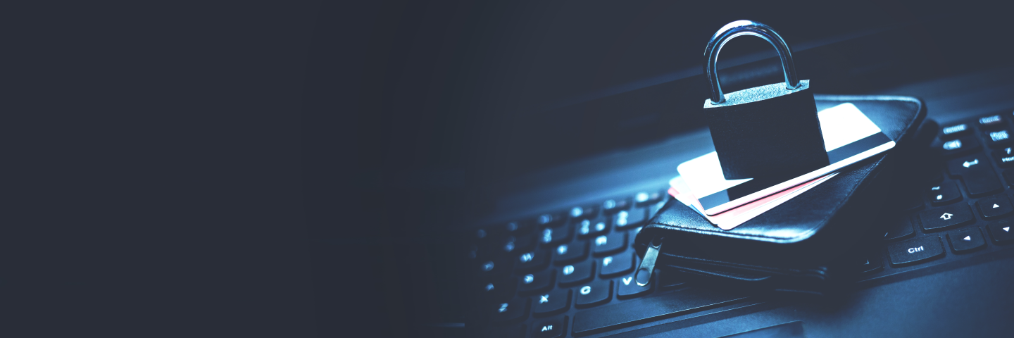 Password Safety and Password Vaults