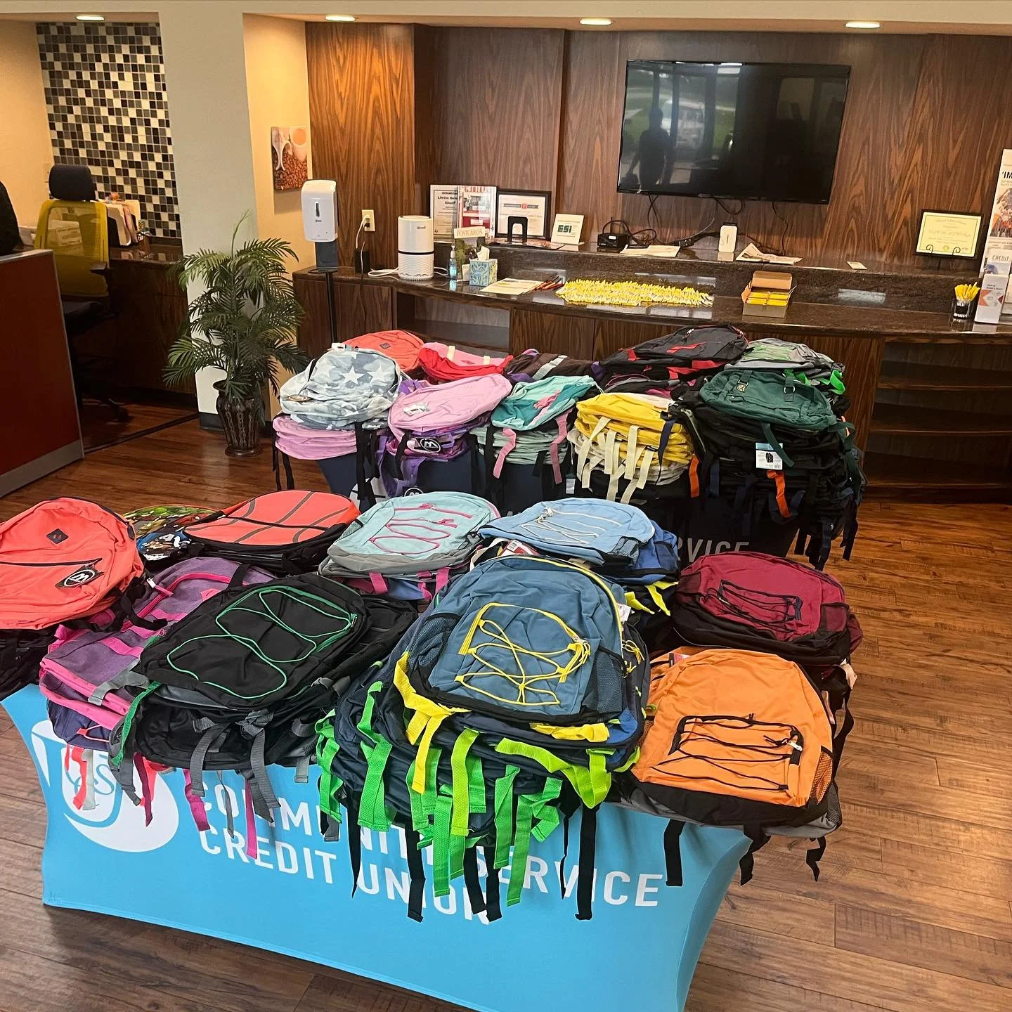 backpack Drive 1.jpg