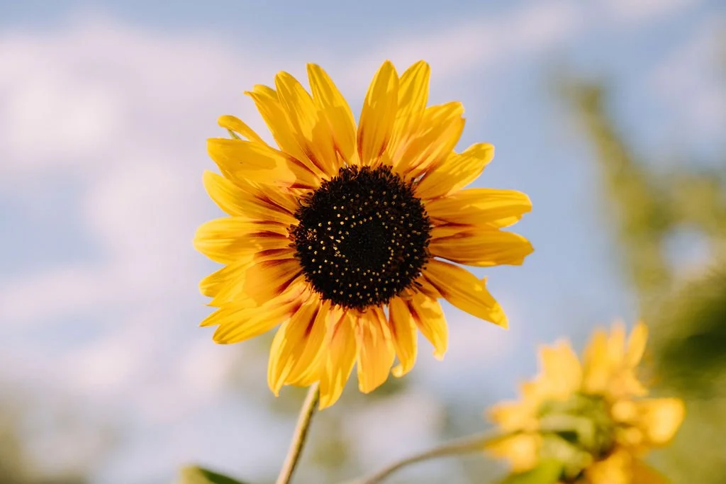 9-Month Apprenticeship Full Payment