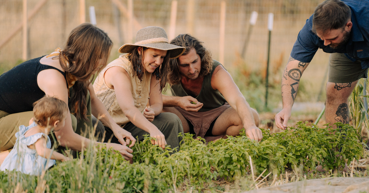 Seasonal Cooking: Learn the flow of eating with nature’s cycles