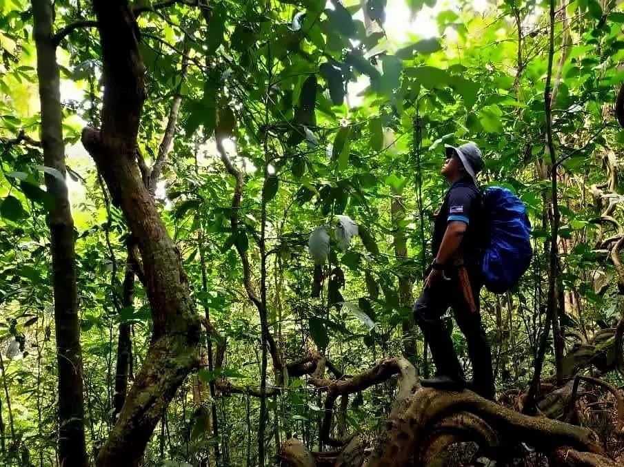 Best Time to Visit Sabah, Borneo: A Season-by-Season Travel Guide
