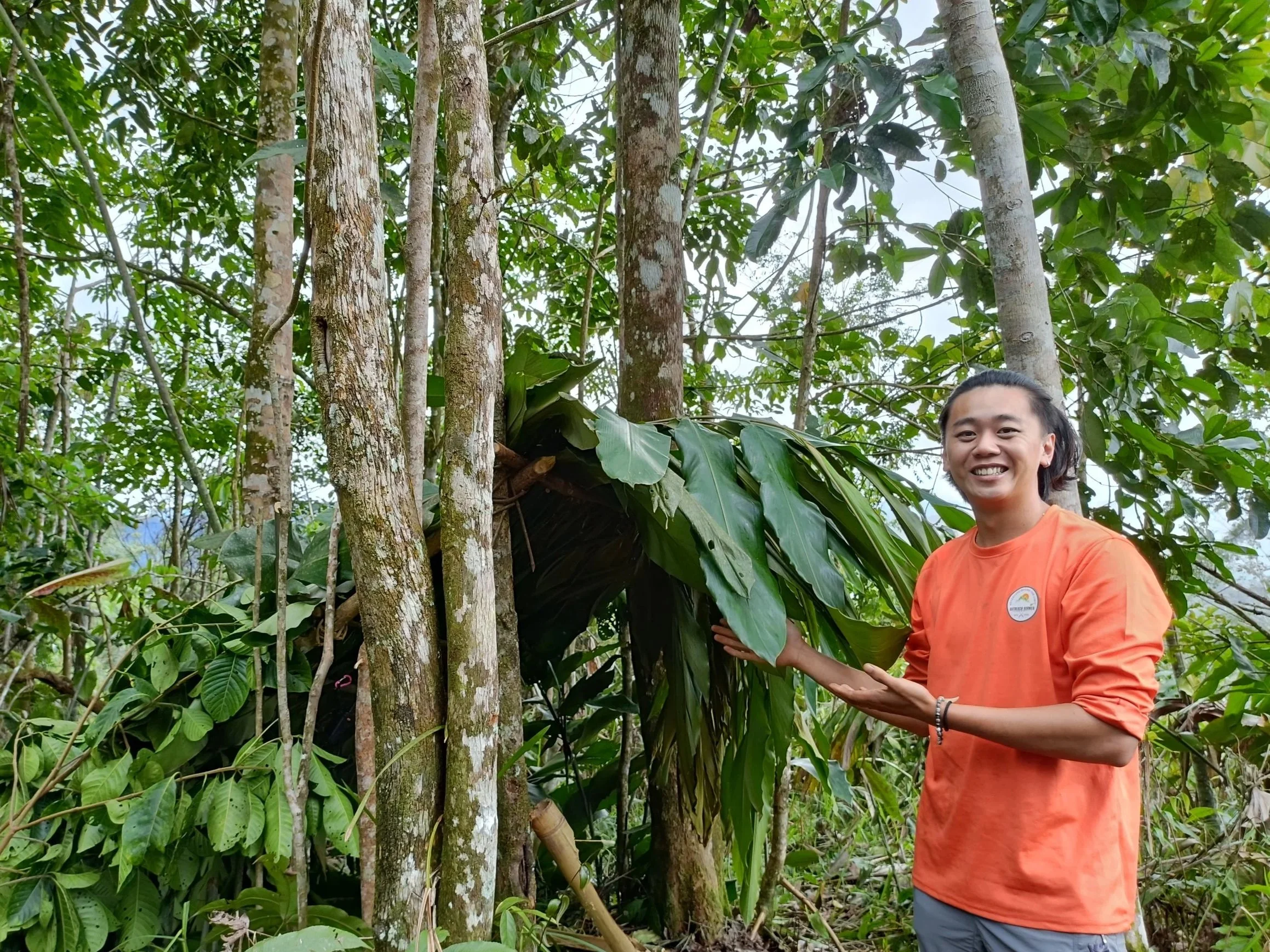A local guide in an orange Outreach Borneo t-shirt presenting a traditional jungle shelter made from large leaves and branches in the Borneo rainforest