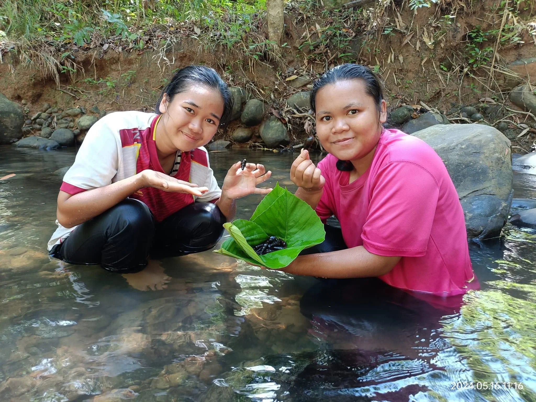 Two women crouching in a clear jungle river in Borneo, holding small freshwater creatures collected on a large green leaf - a traditional food sourcing activity.