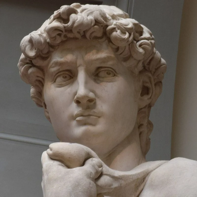 Michelangelo_David_crop.jpg