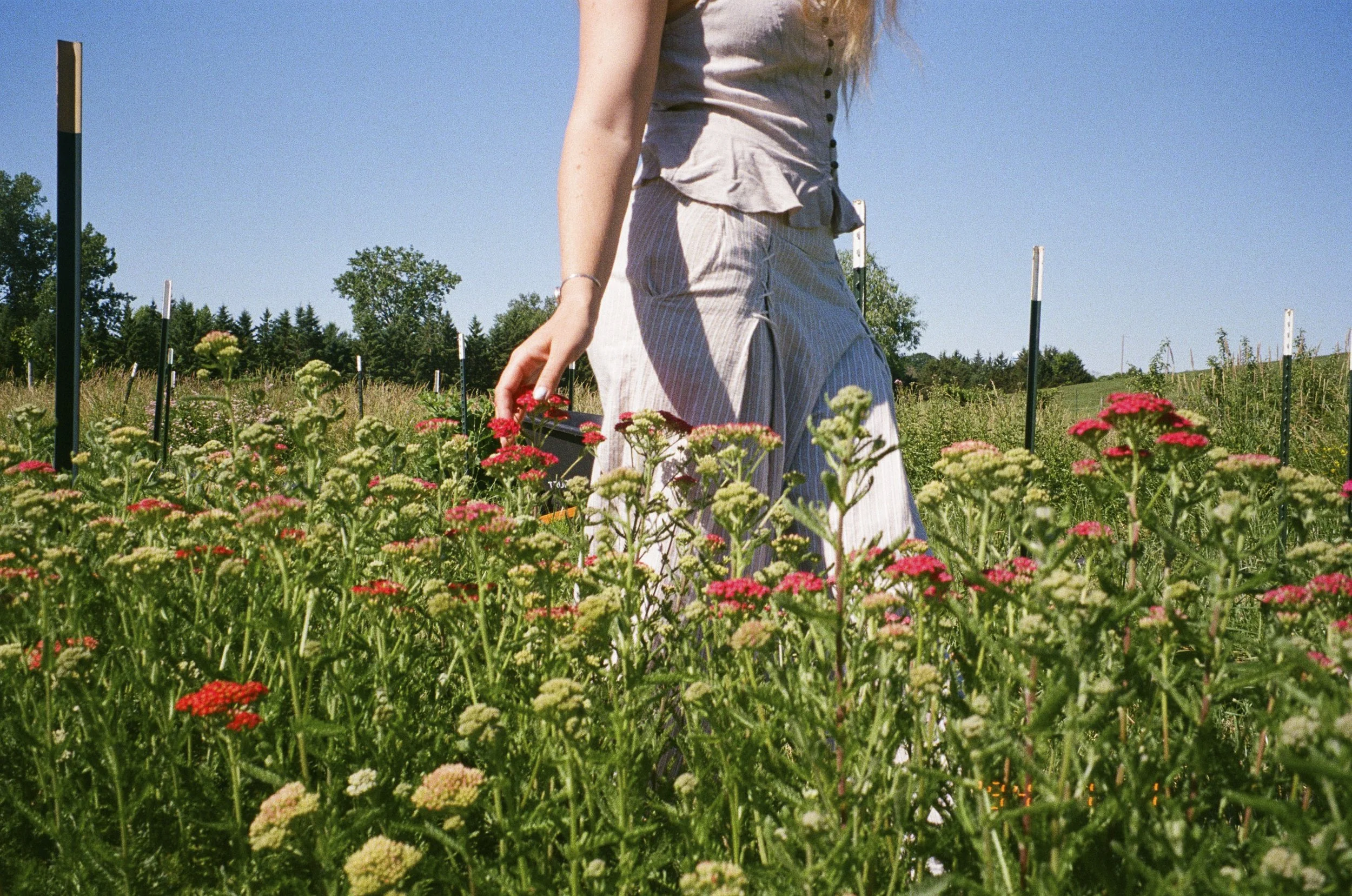 flower farmer