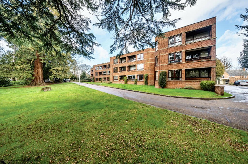 springfield court.jpeg