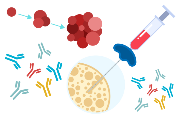 Persistent SARS-CoV-2-specific immune defects in kidney transplant recipients following third mRNA vaccine dose