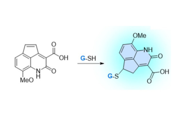 Self-assembled lanthanide antena glutahione sensor for the study of immune cells