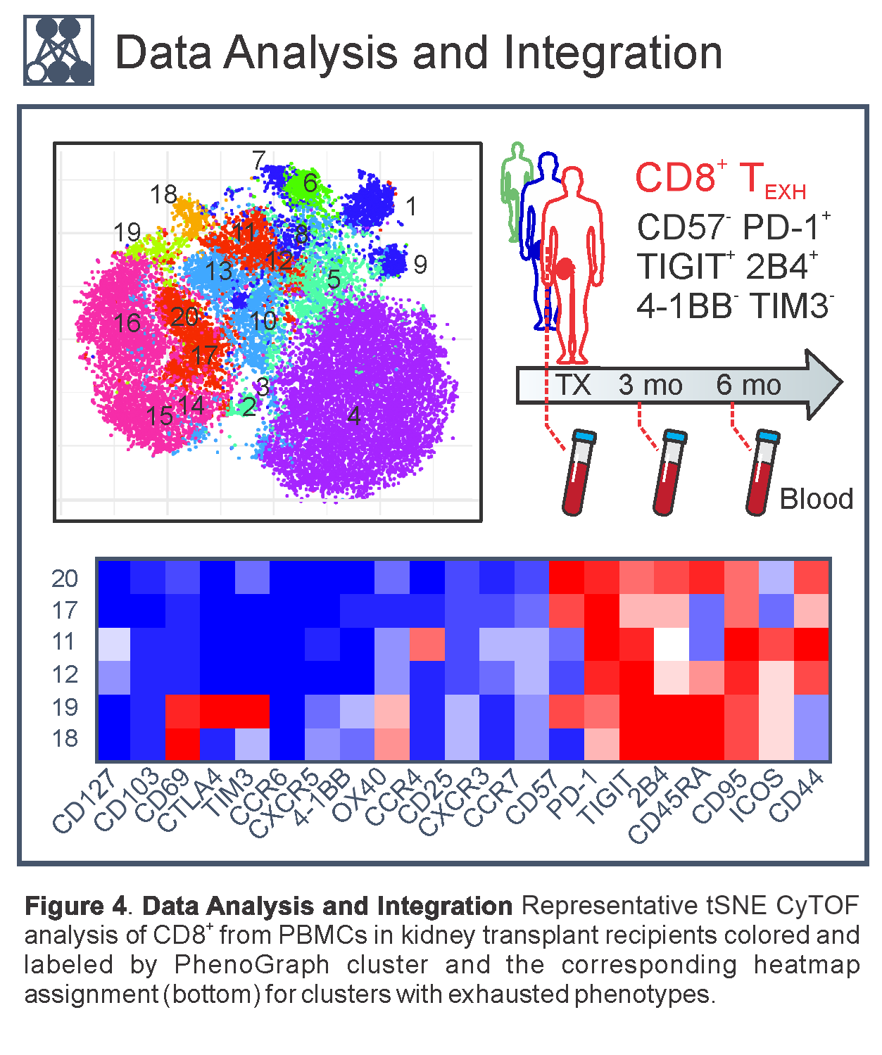 Fribourg Lab Research, Figure 4