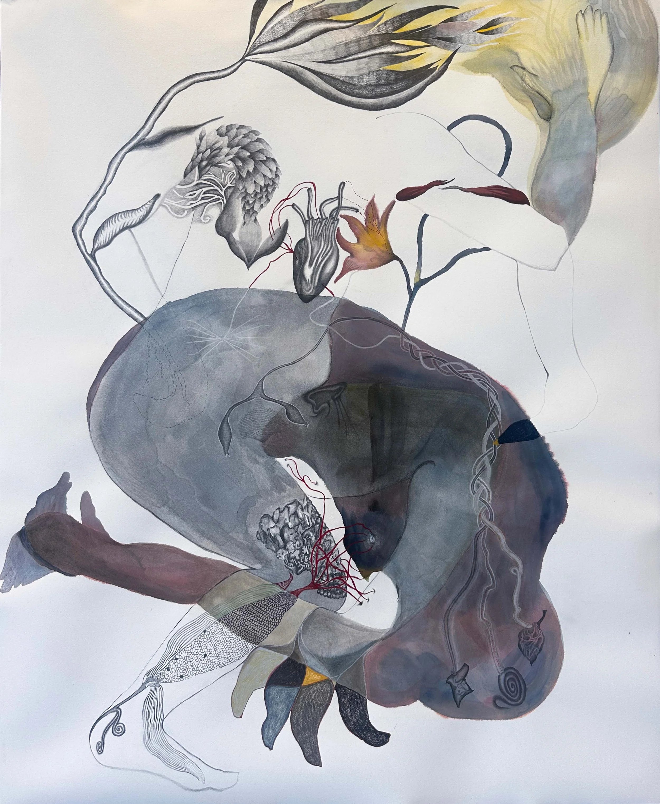 Husk | graphite watercolor and colored pencil on paper | 42 x 36 in | 2025