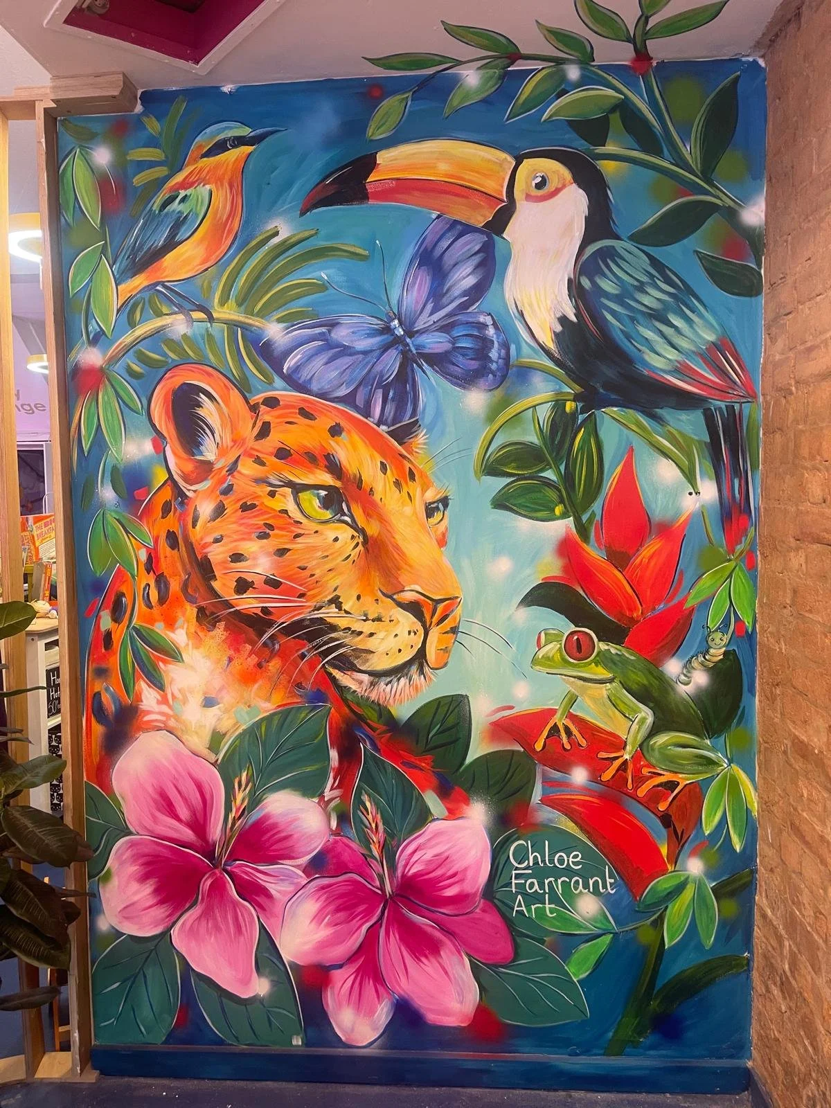 Jelly, Fore street, Exeter, 2025