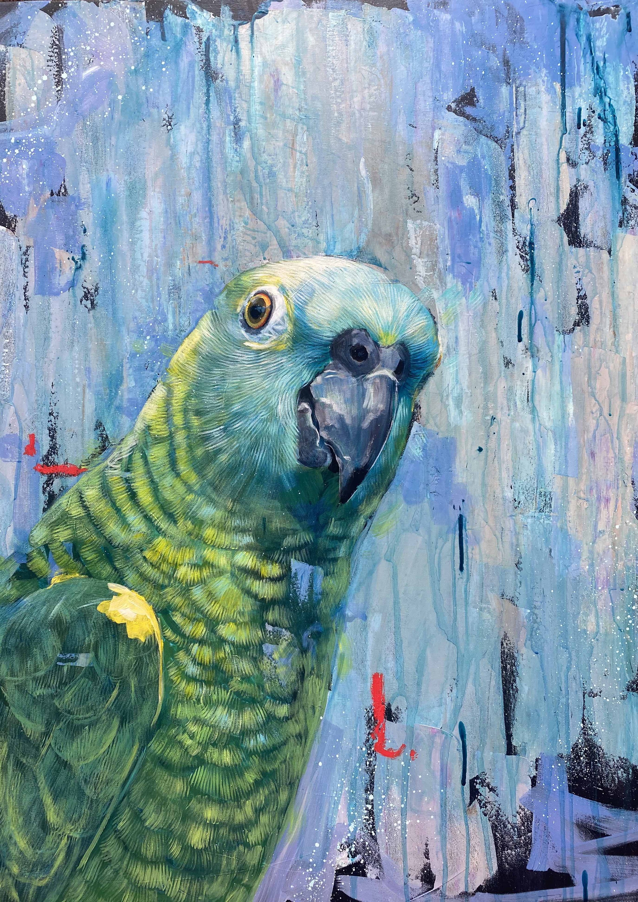 Parrotgsml.jpg