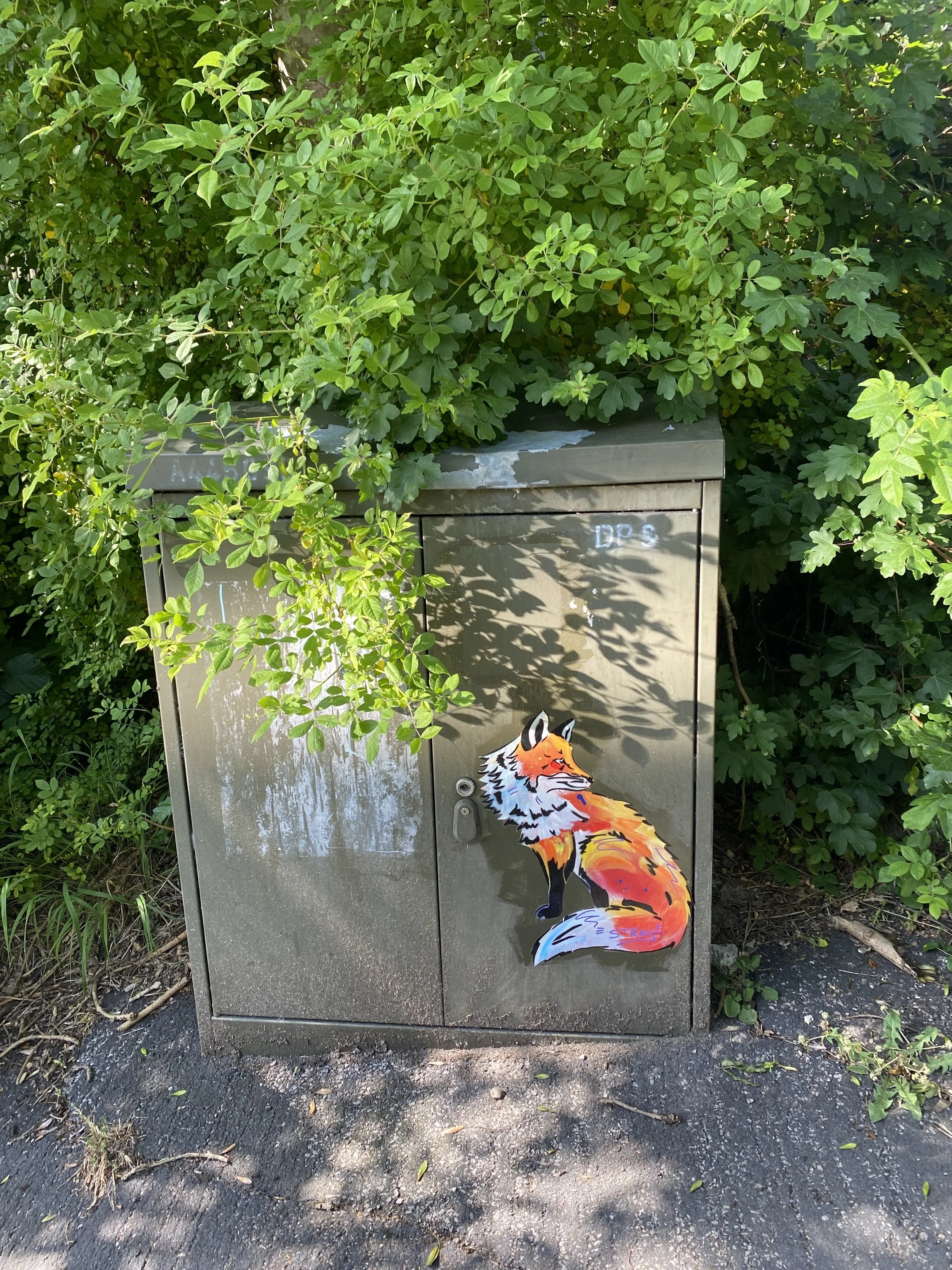 IMG_3274.jpeg